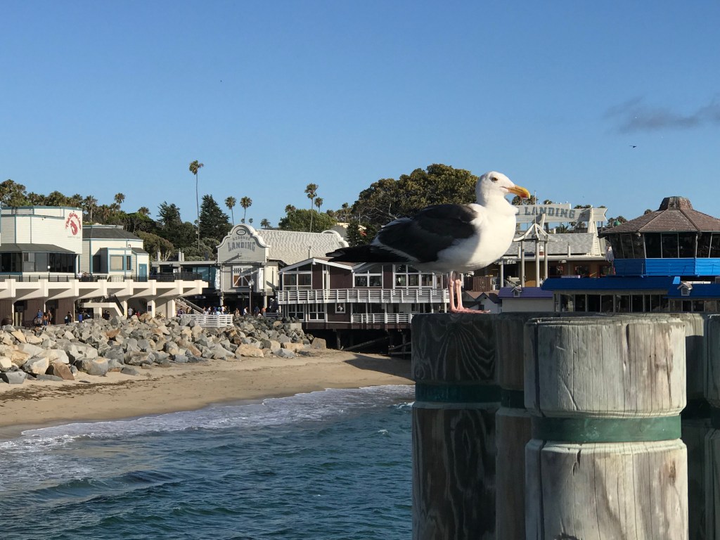 Redondo Beach Pier
